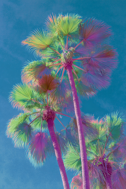 Spring Summer 2027 Print Trends: Expert Guide for Fashion & Textile ...