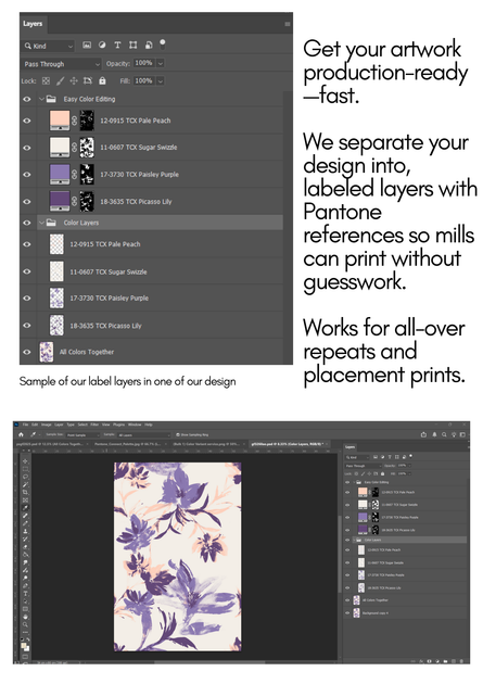 Color Separation File Color Separation Packs – Gabriela Fuente Exclusive Design Studio