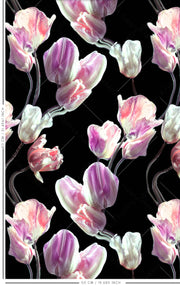 Frozen Tulips