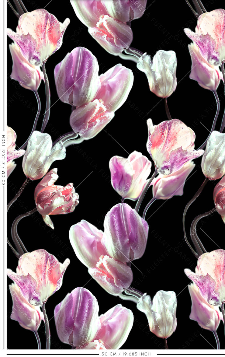 Frozen Tulips