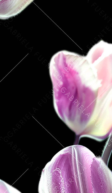 Frozen Tulips