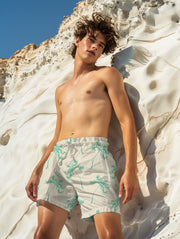 Tropicado