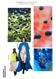 Color Report Fall Winter 26/27
