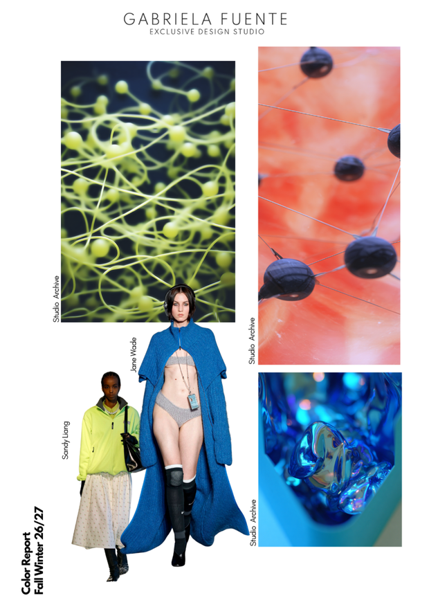 Color Report Fall Winter 26/27