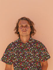 Yla
