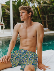 Moen