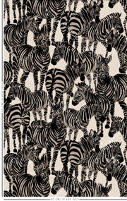 Zebra time